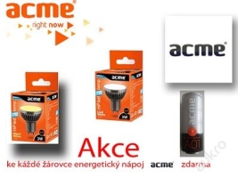 acme-energys