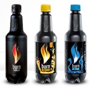 Aktuální CZ Burny burn-cz-energy-pets-500ml
