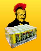 kamikaze-strong-energy-for-president-karel-schwarzenberg2s